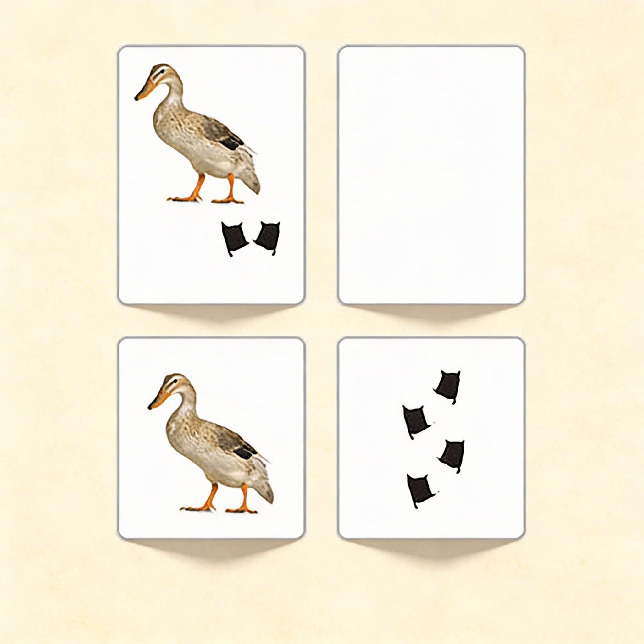 Bauernhoftier-Fußspuren (Spanische Ausgabe)