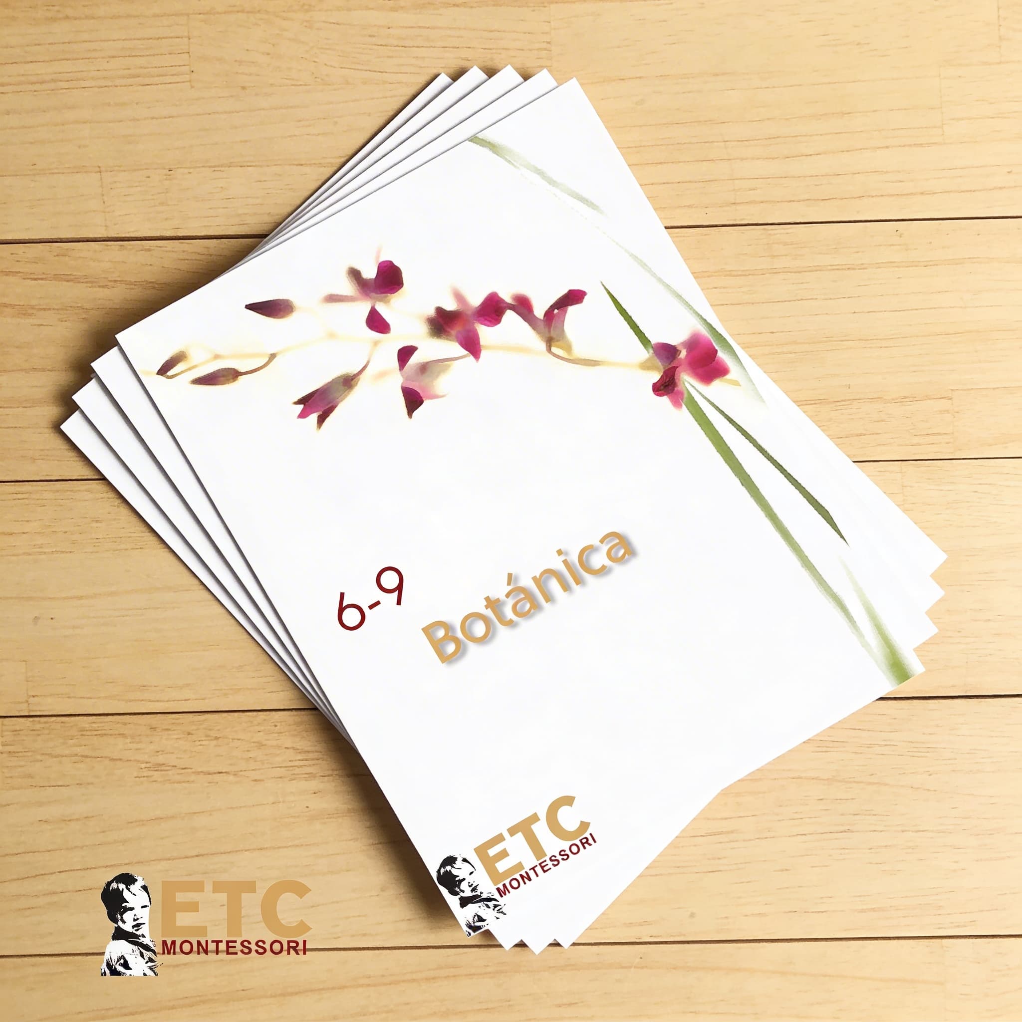 Lower Elementary Botany Cards — Scientific Plant Nomenclature — Side view