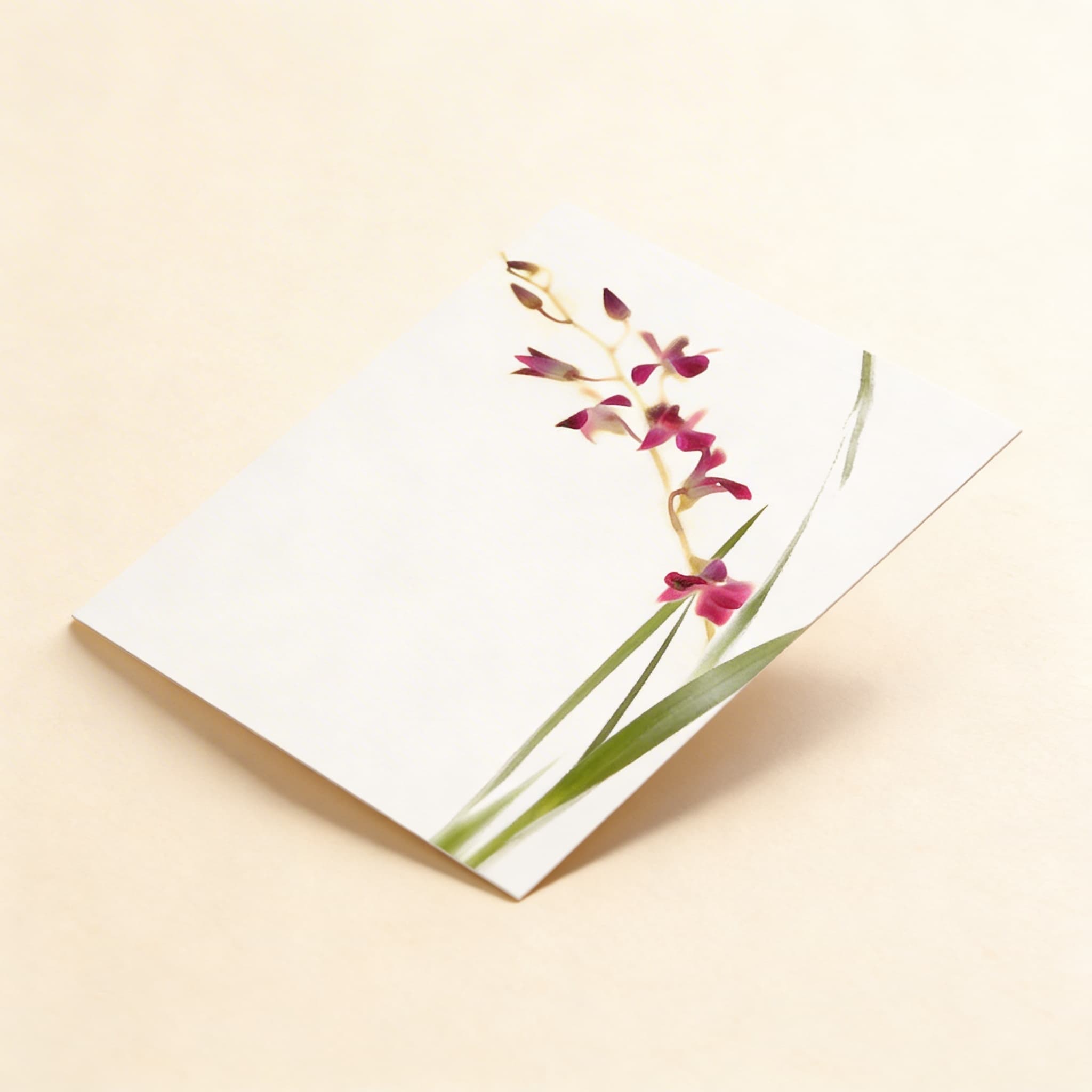 Lower Elementary Botany Cards — Scientific Plant Nomenclature