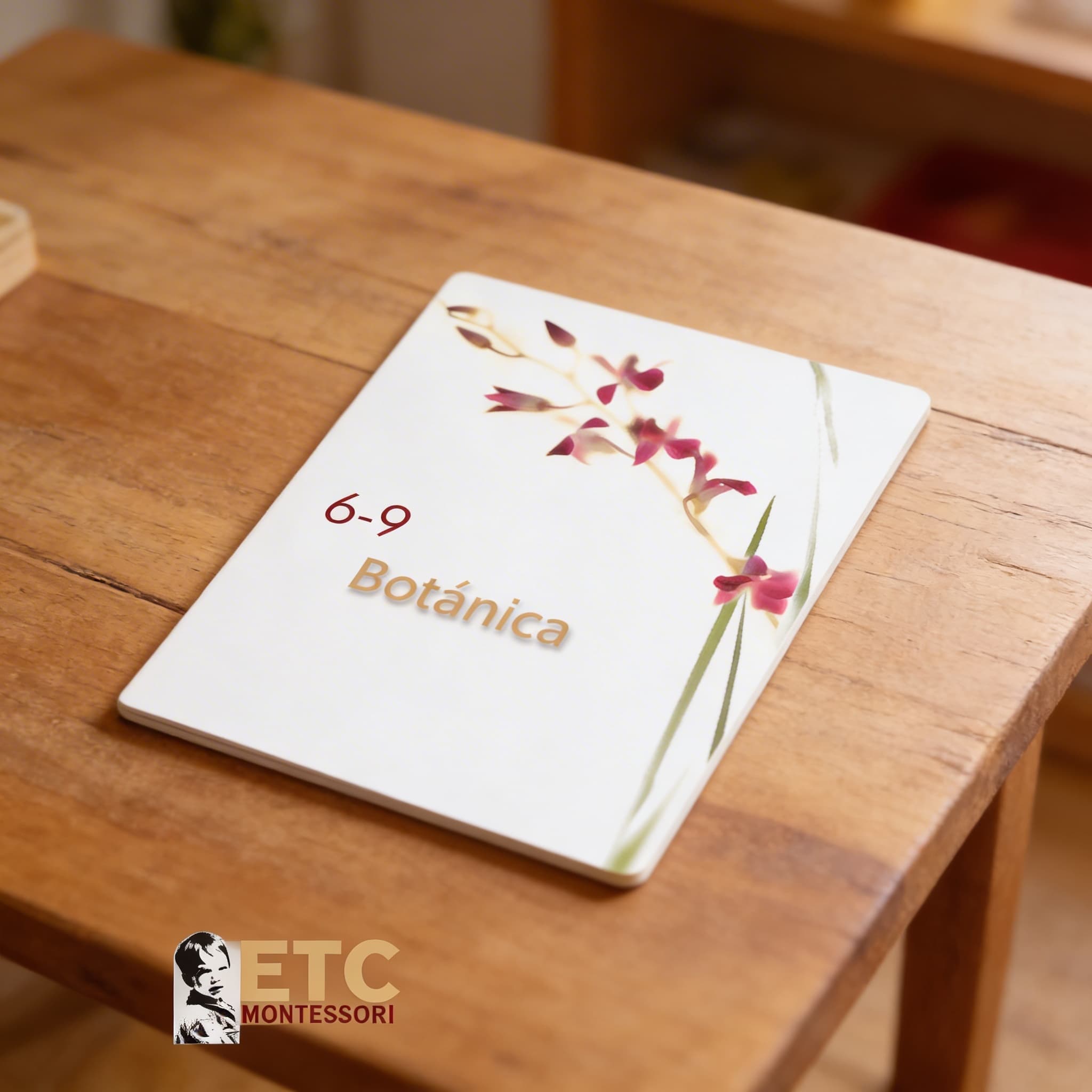 Lower Elementary Botany Cards — Scientific Plant Nomenclature — Detail view