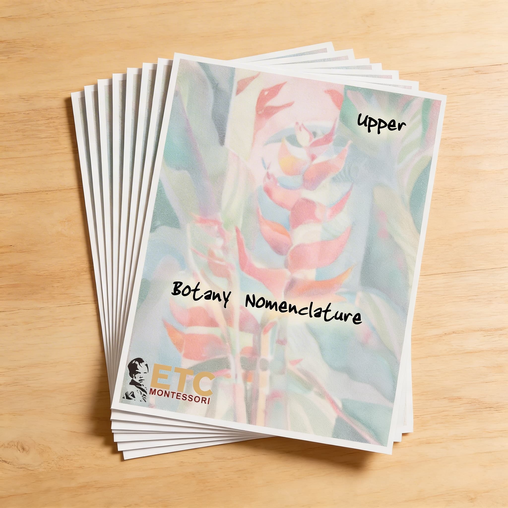 Botanické karty II. — pokročilá nomenklatura rostlin — Boční pohled