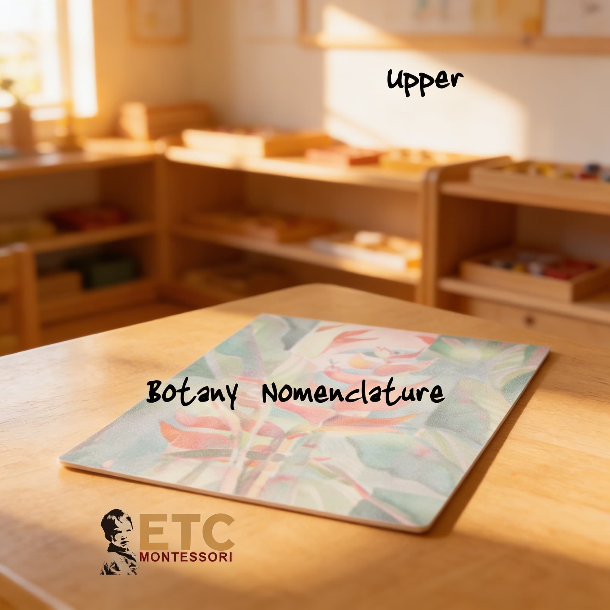 Botanické karty II. — pokročilá nomenklatura rostlin — Při použití