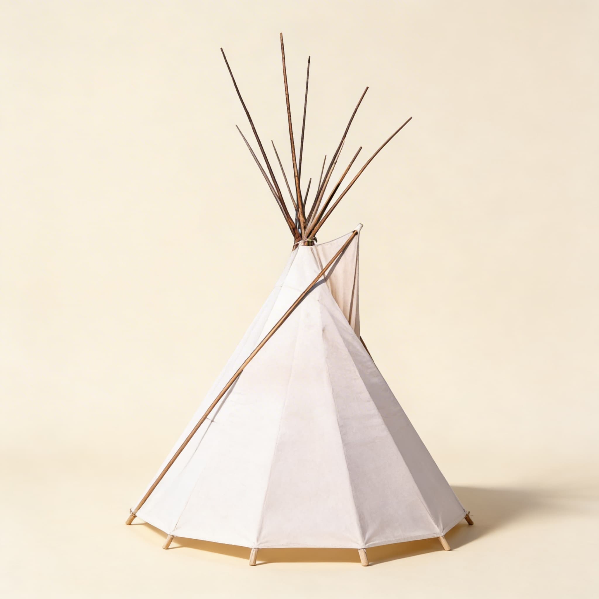 Grundbedürfnisse der amerikanischen Ureinwohner