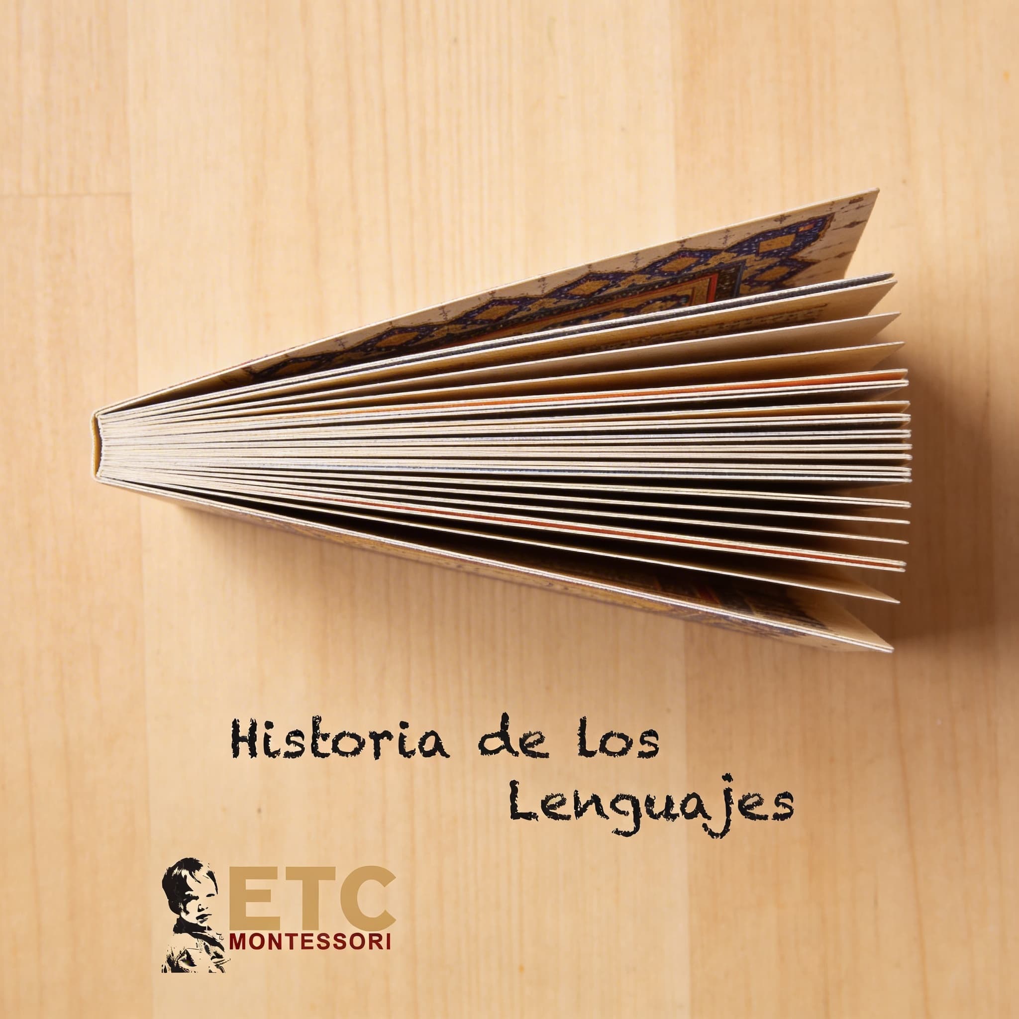 Historie jazyka — Nomenklaturní karty — Boční pohled