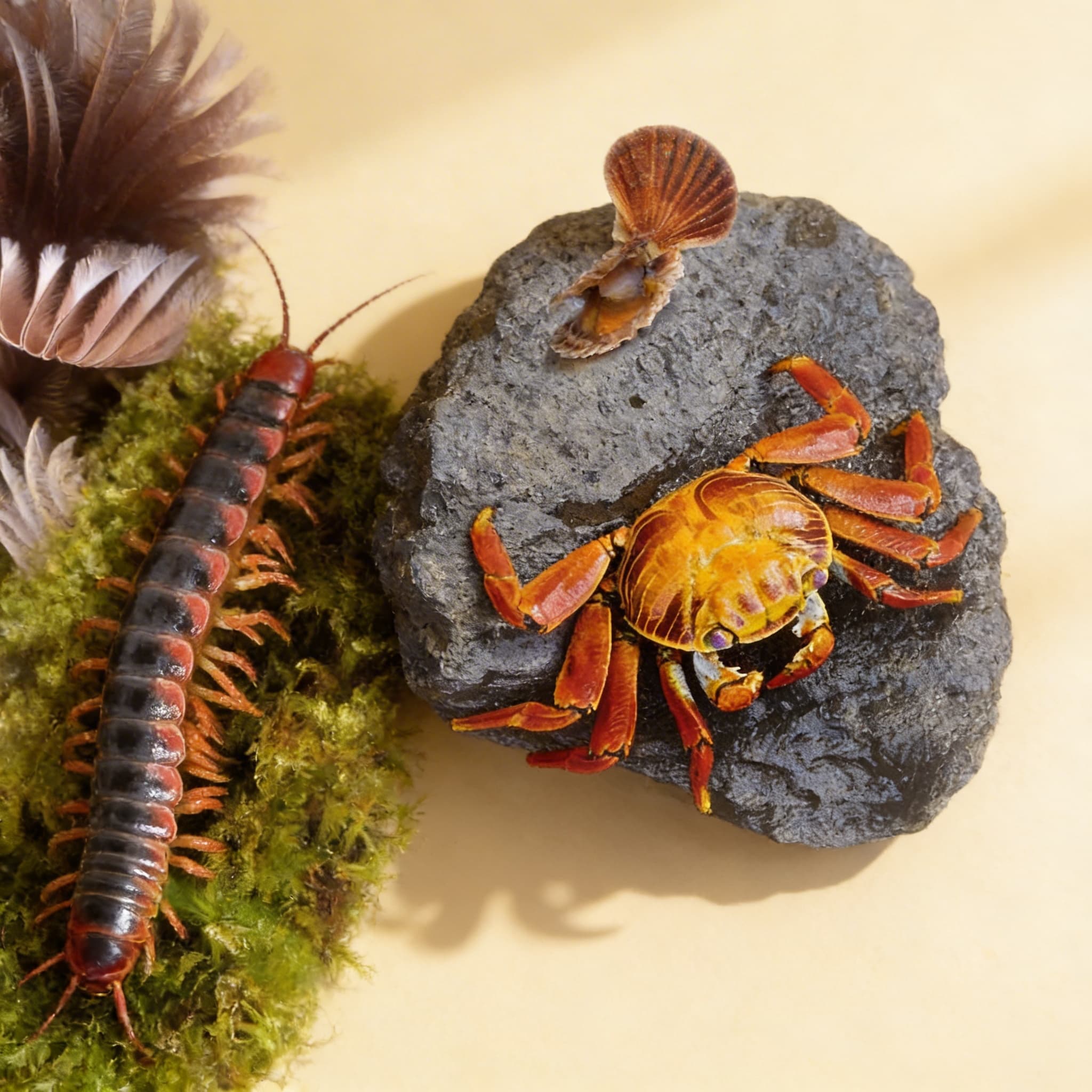 Tiergeschichten (Spanisch) — Ansicht 2