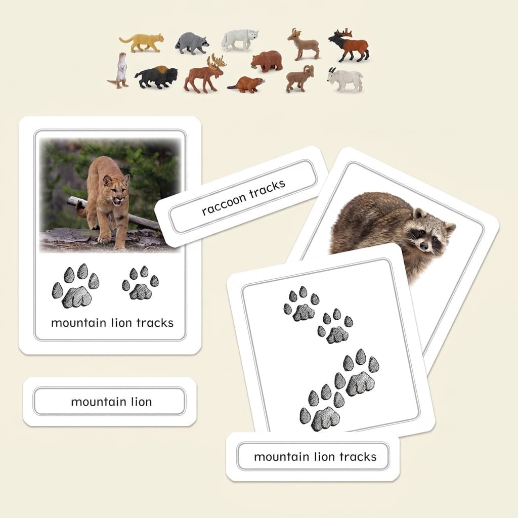 Nordamerikanische Tierspuren mit Figuren - Montessori Material | Faborino