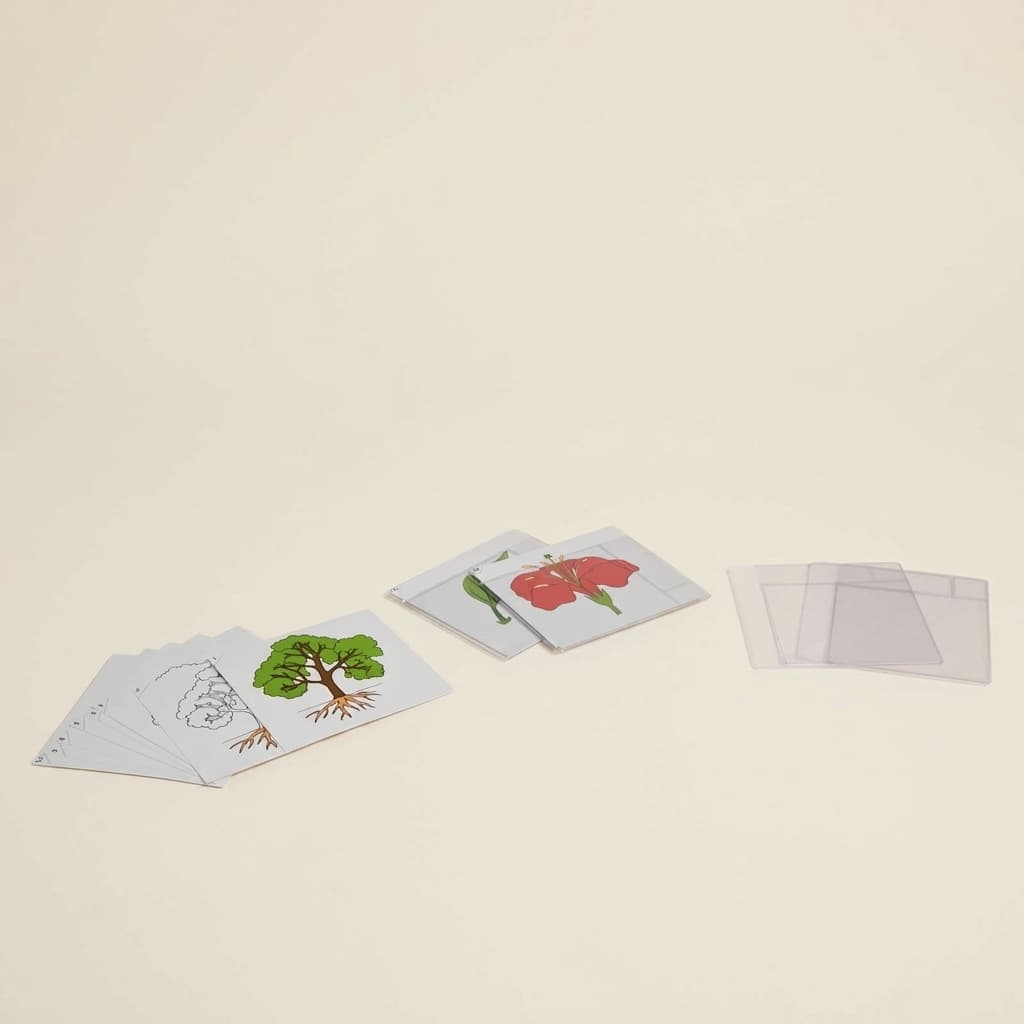 Erstes Set Botanikkarten - Montessori Material | Faborino