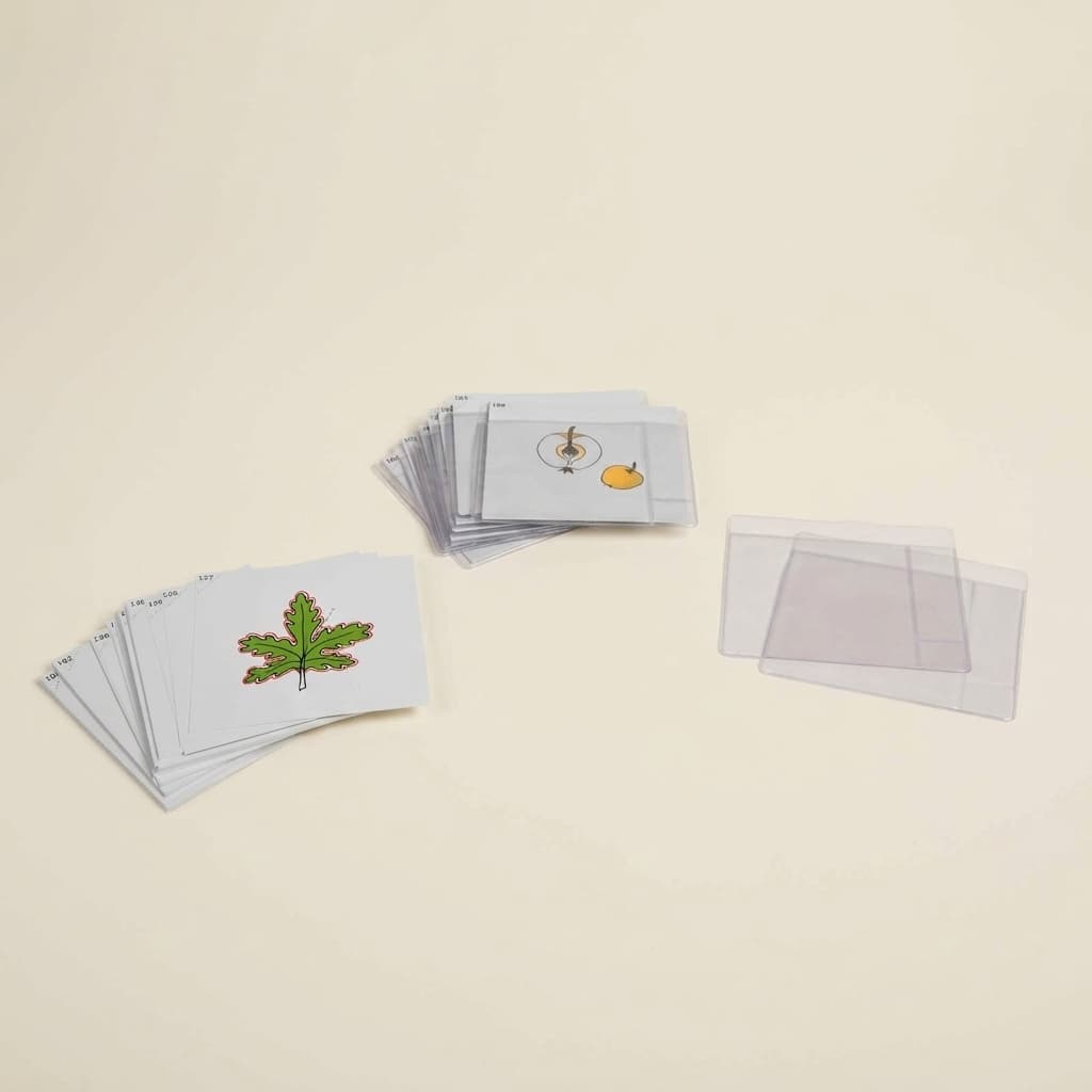 Botanik-Karten Set 3: Erweiterte Pflanzenstudien - Montessori Material | Faborino