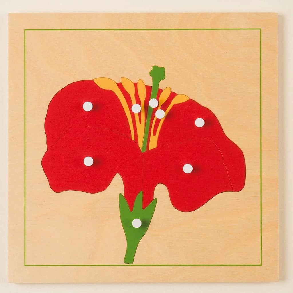Botanik-Puzzle: Blume - Montessori Material | Faborino