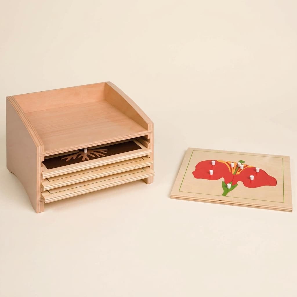 Botanik-Puzzleschrank: Vier Fächer - Montessori Material | Faborino