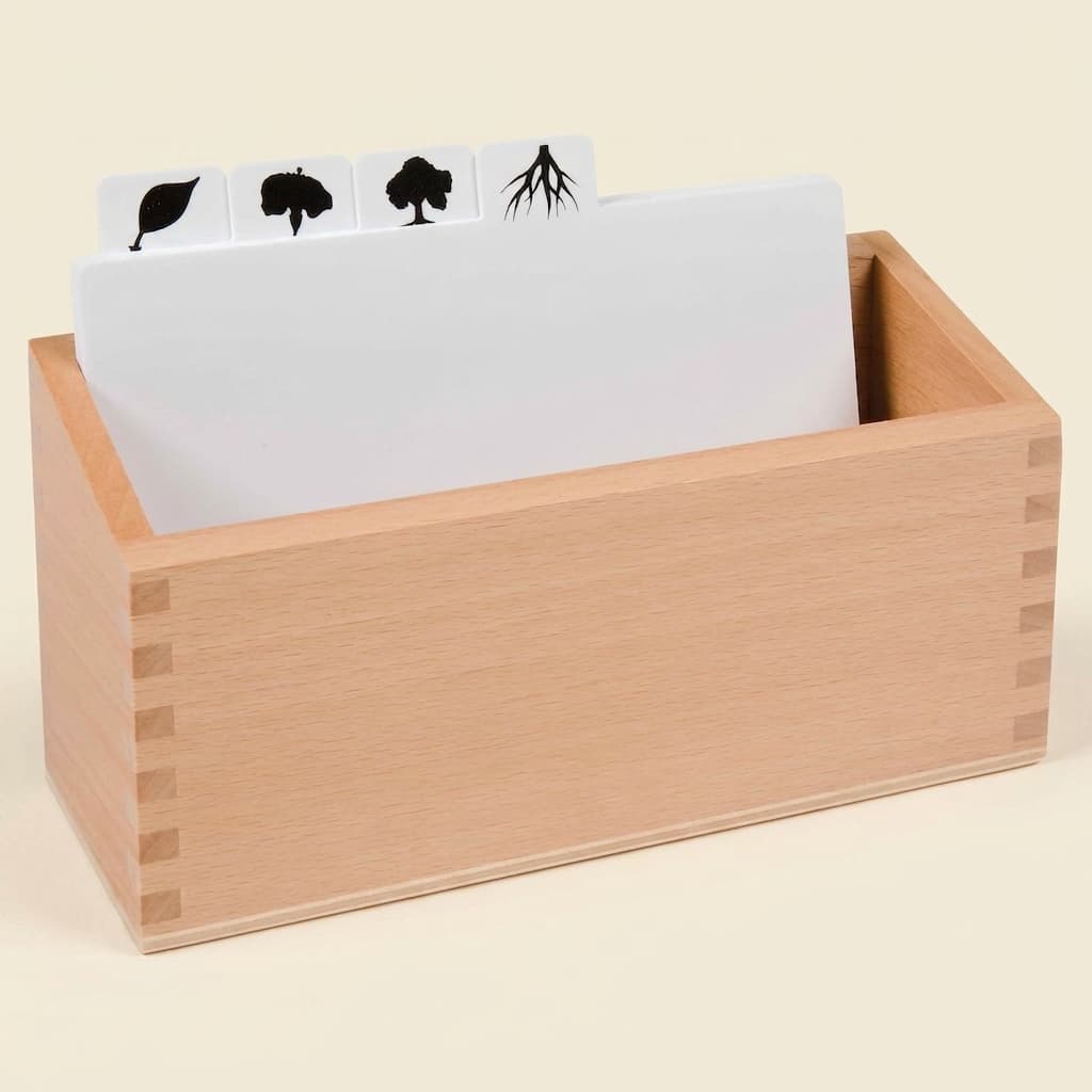Botanik-Puzzle Kopiervorlagen-Box: Schablonen für Kabinett-Erweiterungen - Montessori Material | Faborino