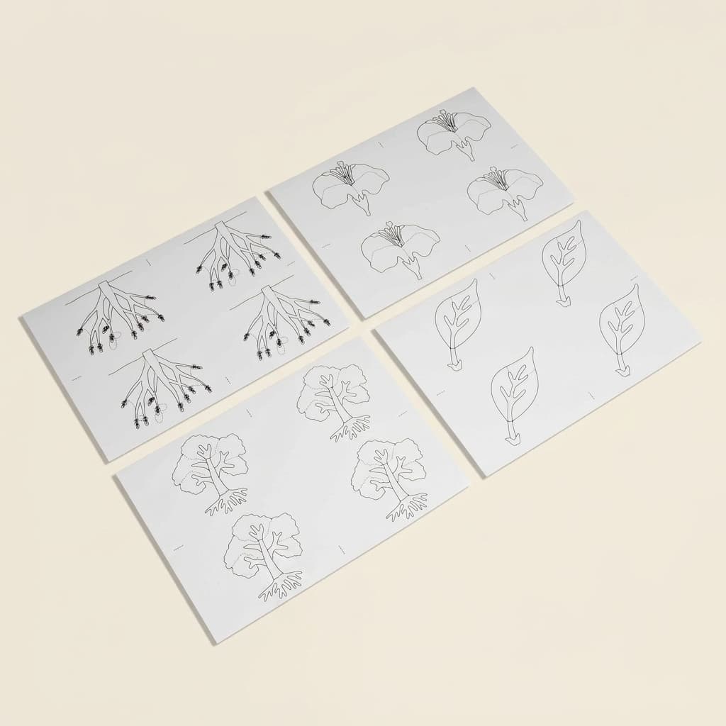 Botanik-Puzzle: Kopiervorlagen - Montessori Material | Faborino