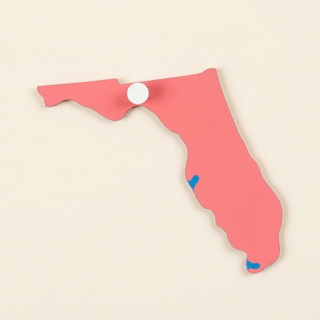 Puzzleteil USA: Delaware - Montessori Material | Faborino
