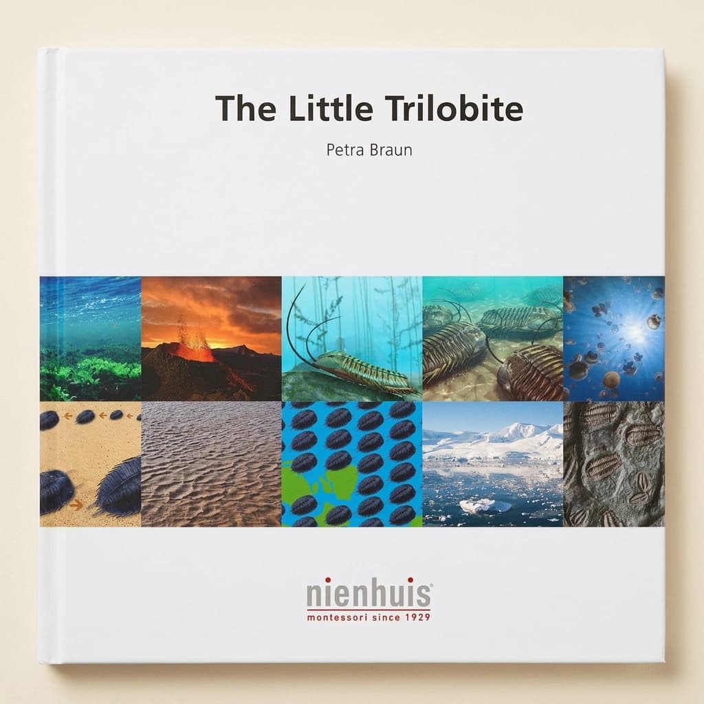 Der kleine Trilobit - Montessori Material | Faborino