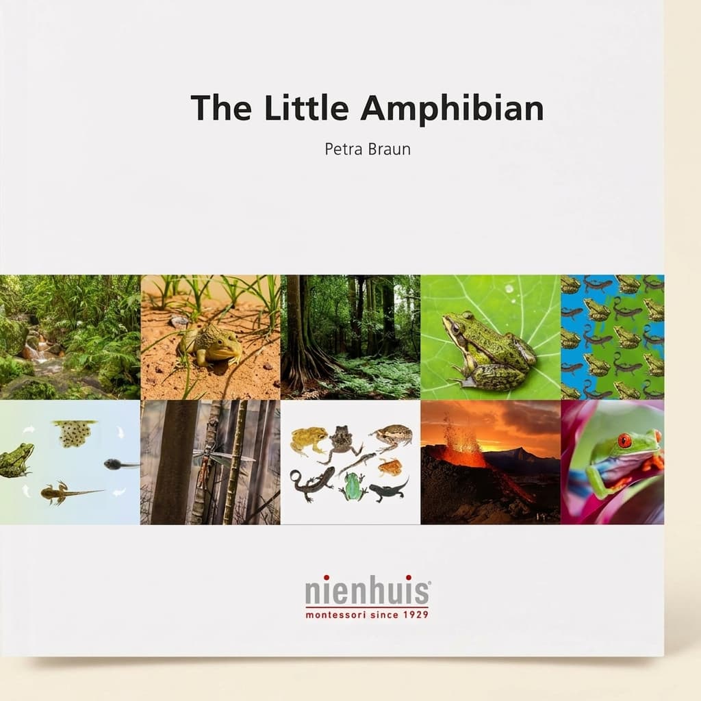 Der kleine Amphibie - Montessori Material | Faborino
