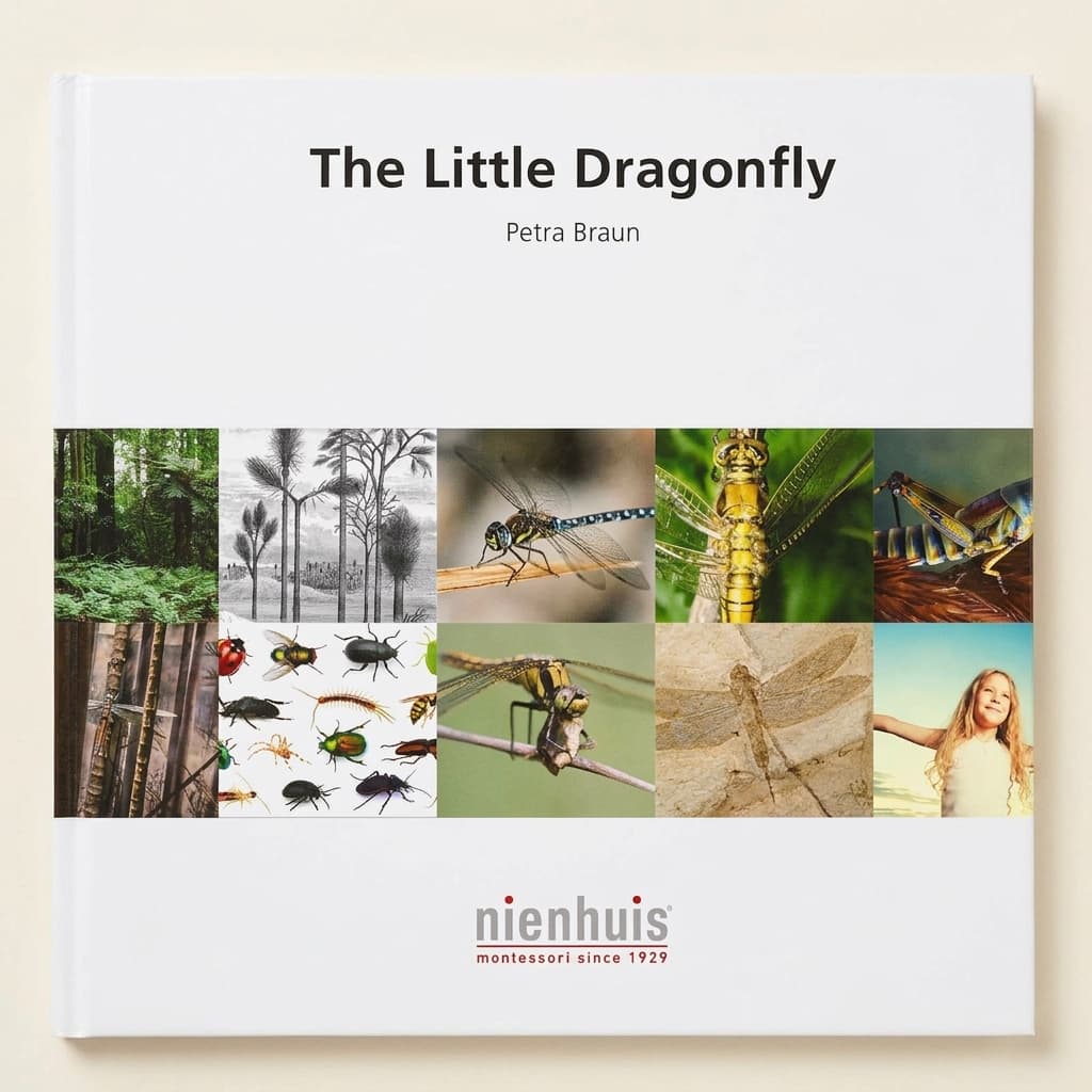 Die kleine Libelle - Montessori Material | Faborino