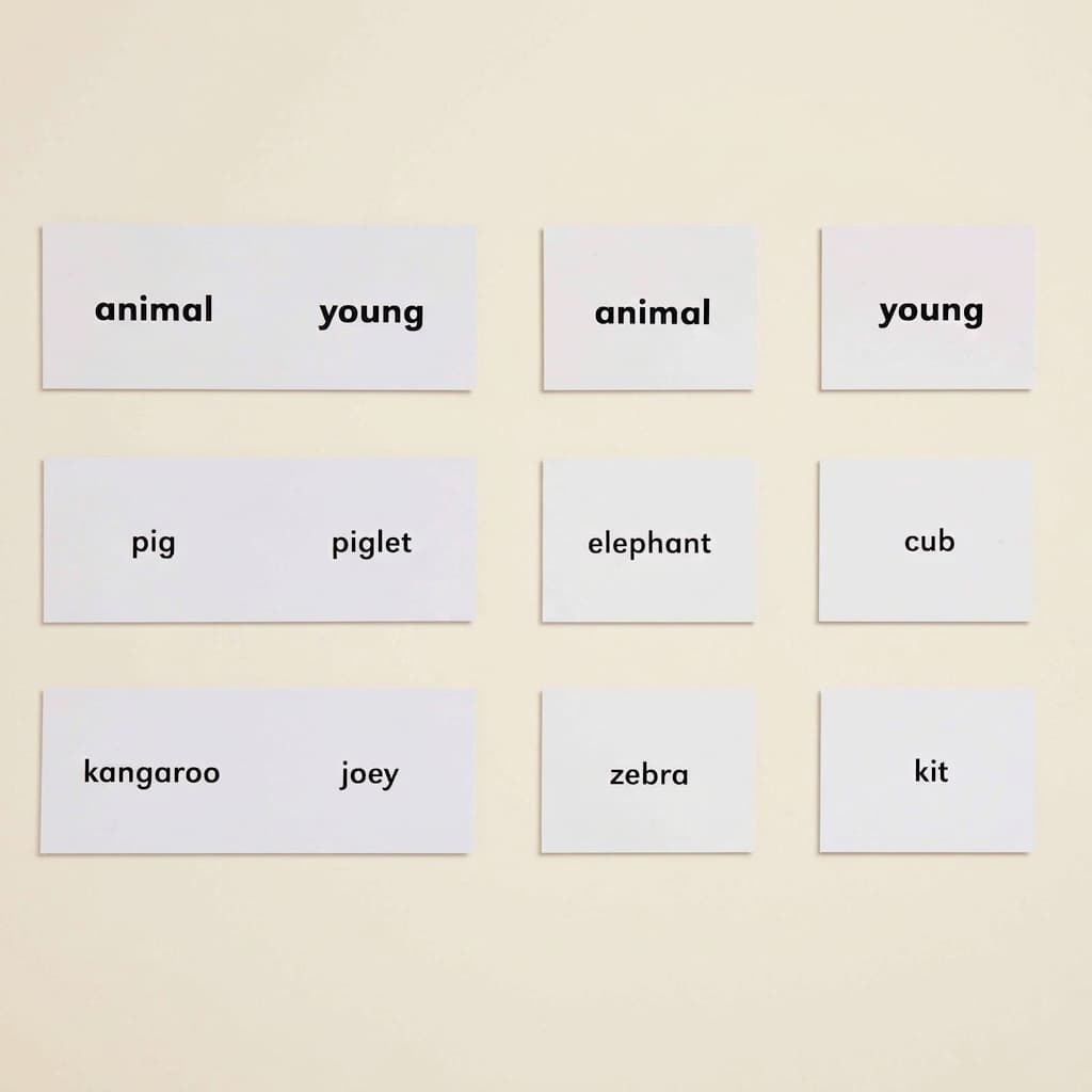 Tiere und ihre Jungen - Montessori Material | Faborino