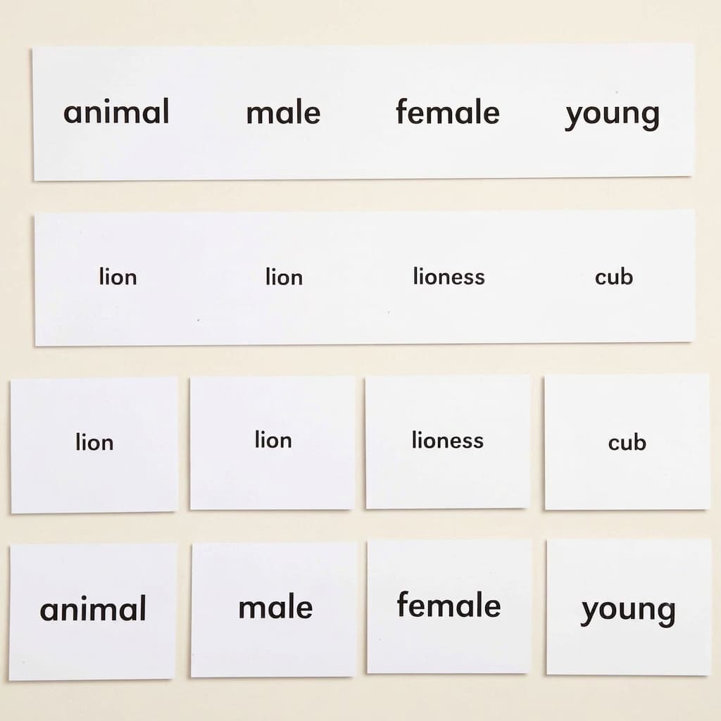 Tiernamen: Sprachklassifikationskarten - Montessori Material | Faborino
