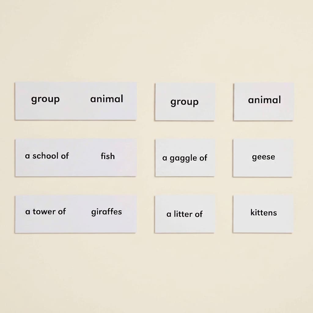 Tiere und ihre Gruppen - Montessori Material | Faborino