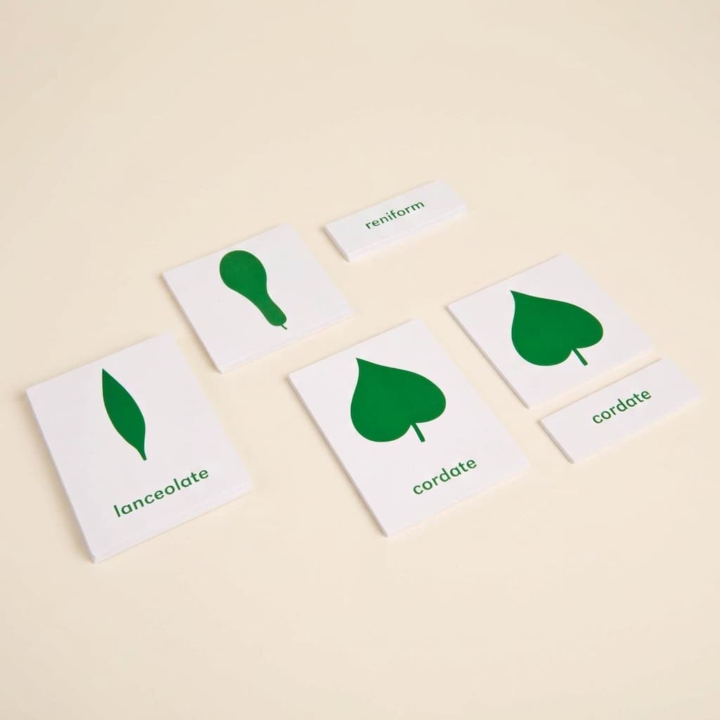 Nomenklaturkarten für den Botanikschrank - Montessori Material | Faborino