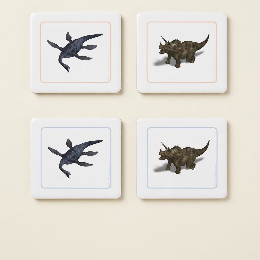 Dinosaurier-Zuordnungskarten - Montessori Material | Faborino