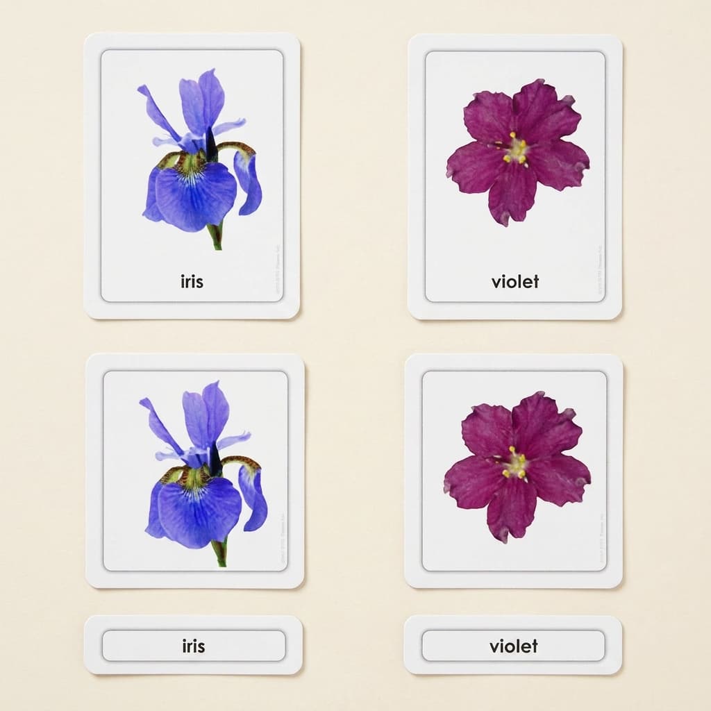 3-Teile-Karten: Blumen - Montessori Material | Faborino