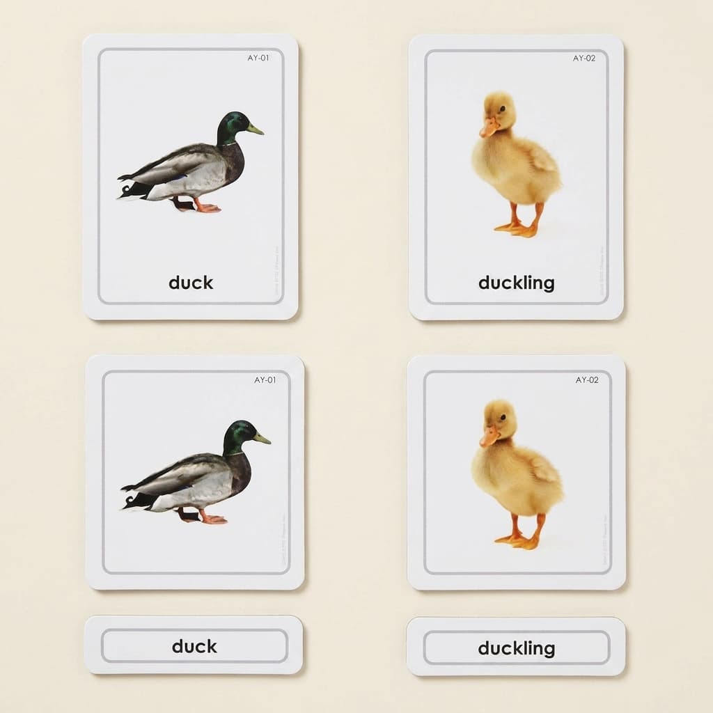 Tierjunge: 3-Teil-Karten - Montessori Material | Faborino
