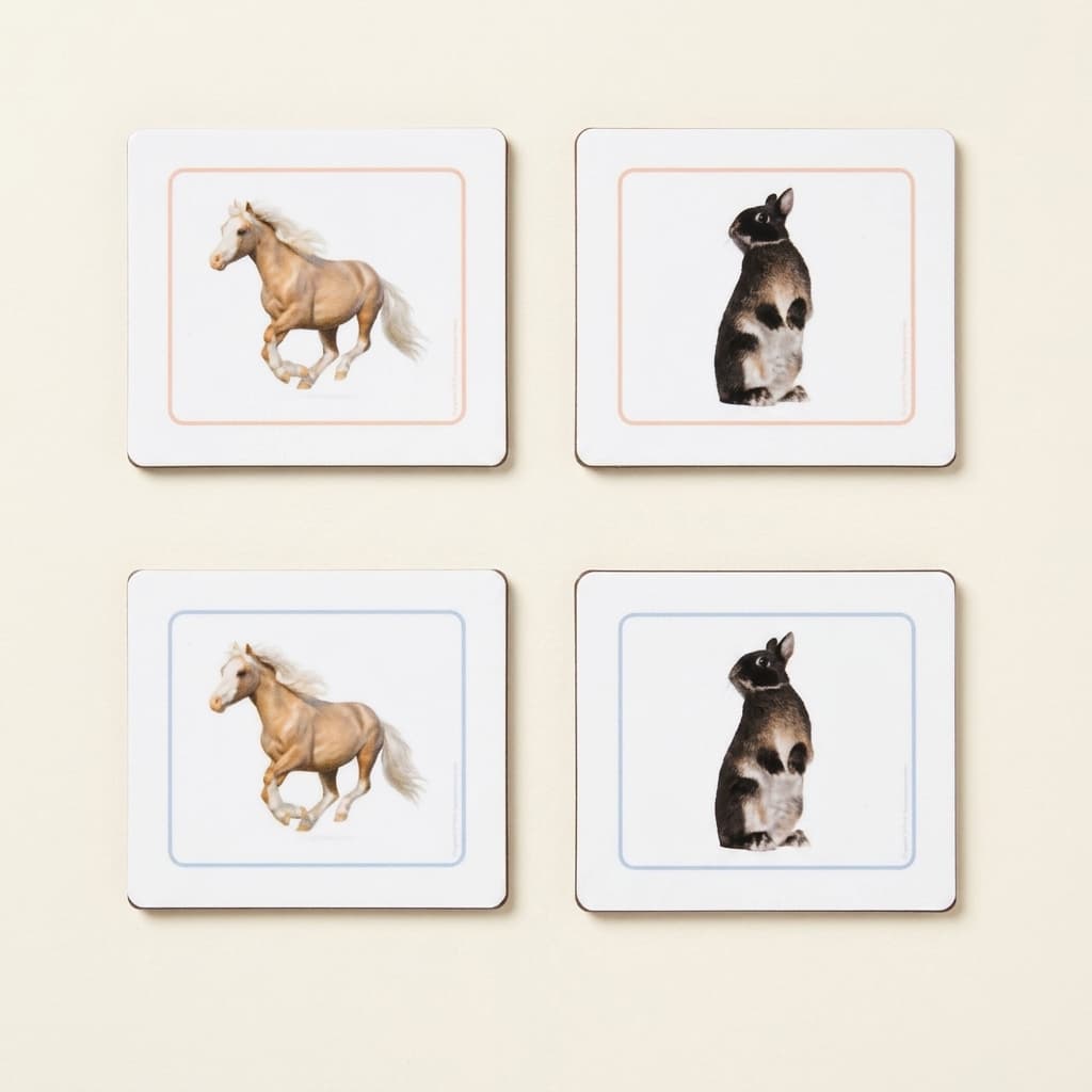 Säugetier-Zuordnungskarten - Montessori Material | Faborino