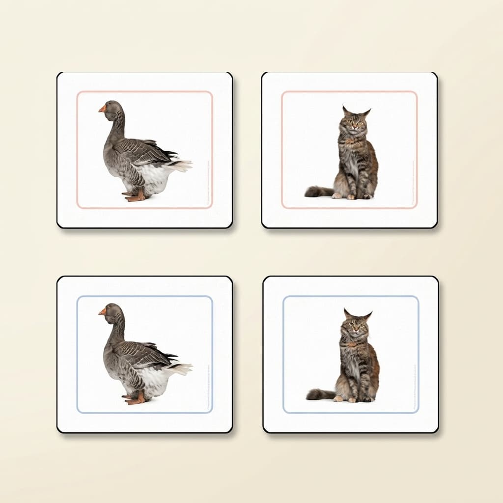 Haustiere-Zuordnungsarbeitskarten - Montessori Material | Faborino