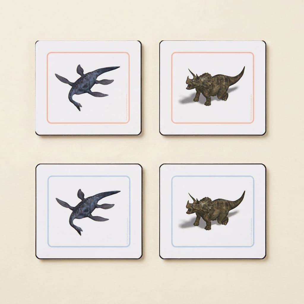 Dinosaurier-Zuordnungskarten (Spanisch) - Montessori Material | Faborino