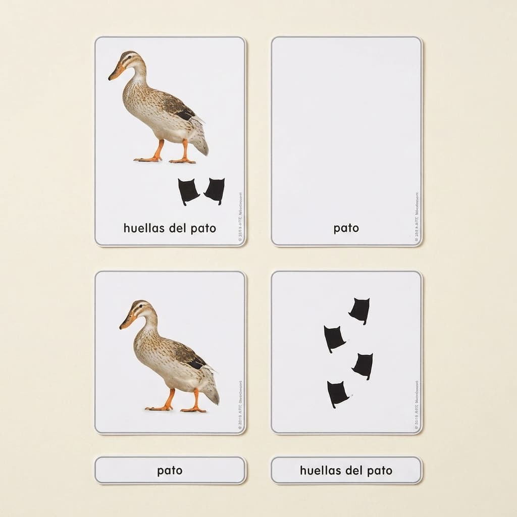 Bauernhoftier-Fußspuren (Spanische Ausgabe) - Montessori Material | Faborino