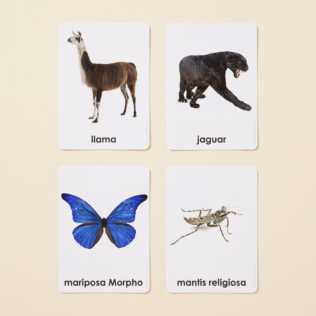 Tiere der sieben Kontinente (Spanisch) - Montessori Material | Faborino