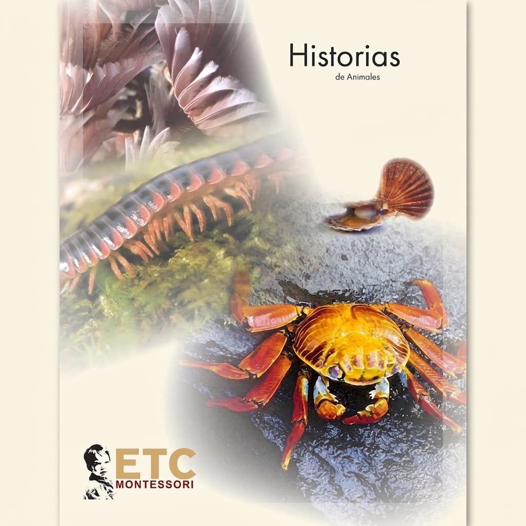 Tiergeschichten: Elementarzoologie - Montessori Material | Faborino