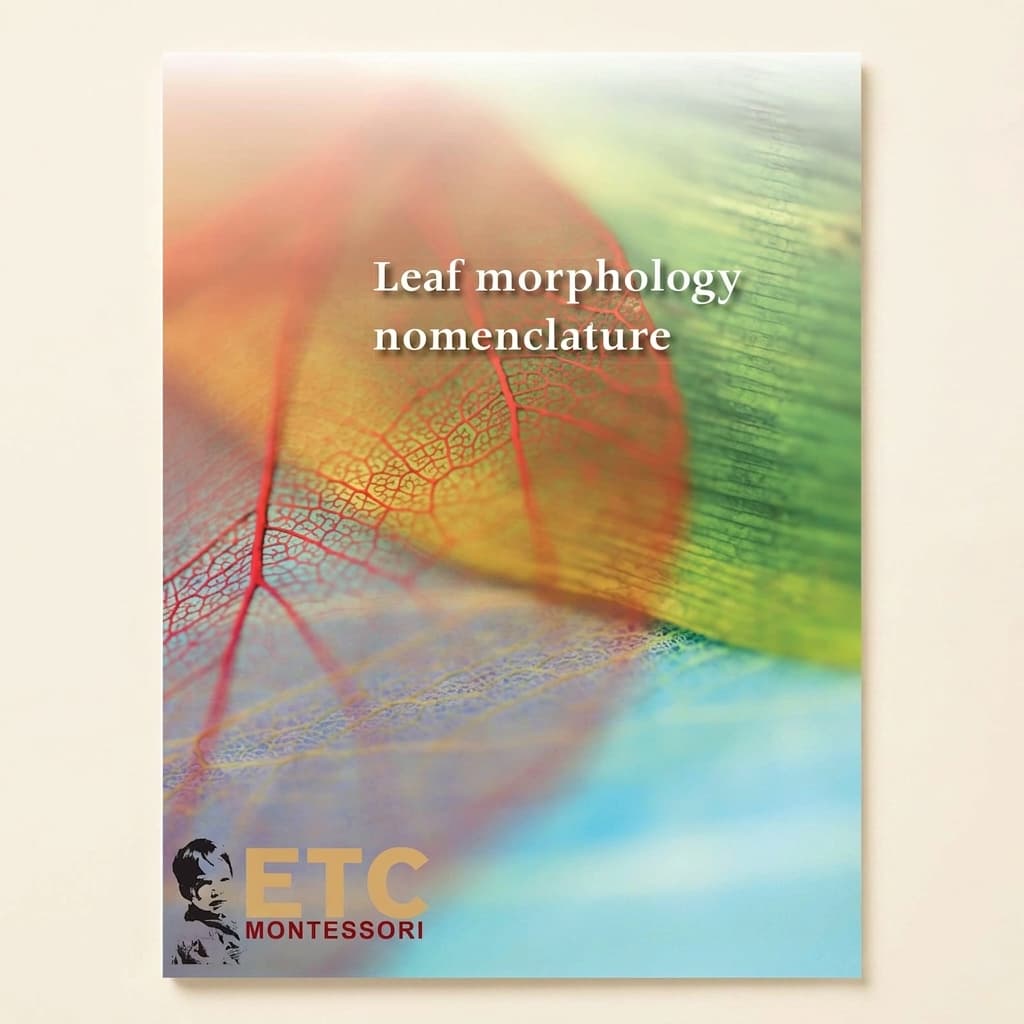 Blattmorphologie-Nomenklatur