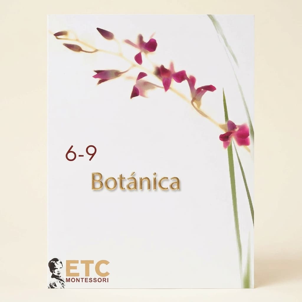 Botanik-Lehrplan: Alter 6-9 - Montessori Material | Faborino