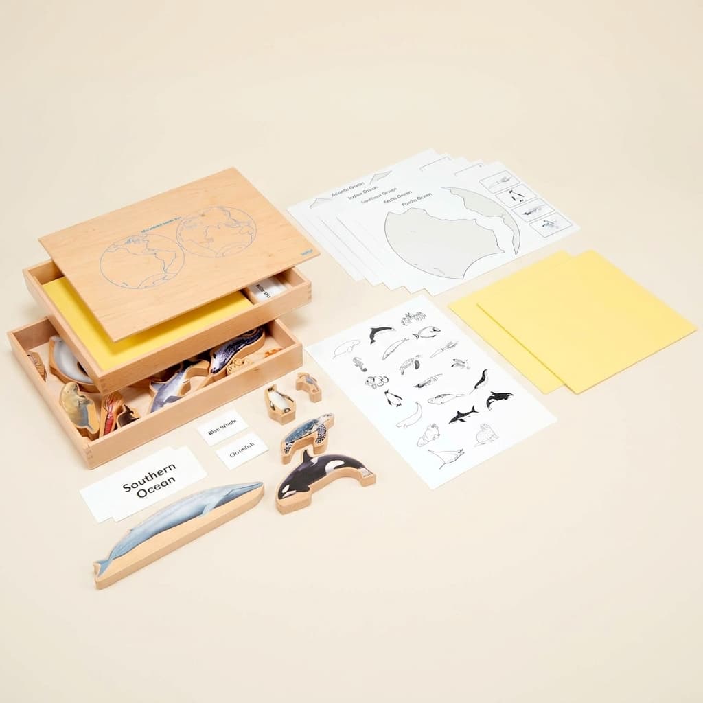 Krabica morských zvierat: Triedenie a slovná zásoba - Montessori Material | Faborino