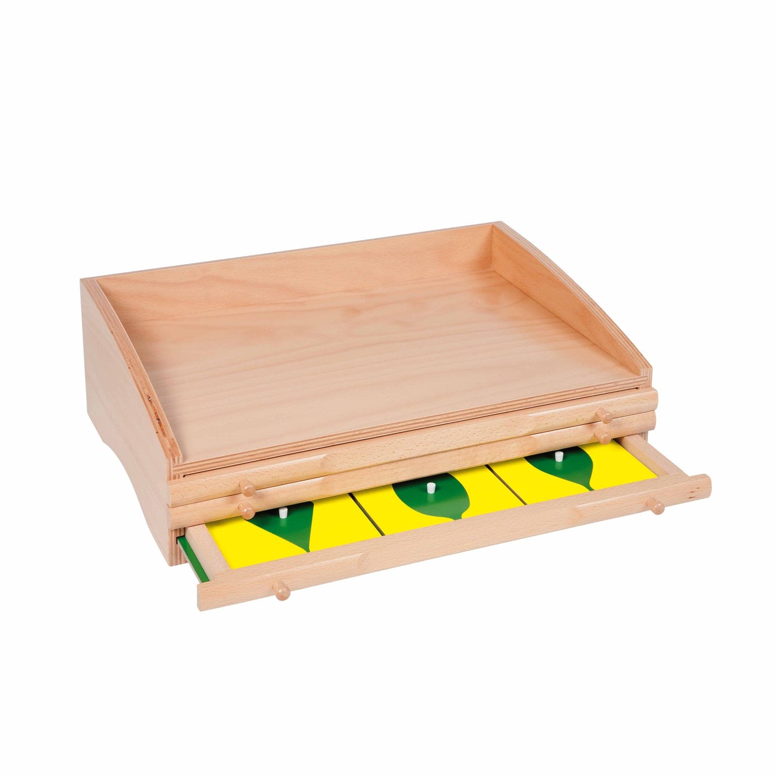 Botany Cabinet — Leaf Shape Exploration & Visual Discrimination — View 1