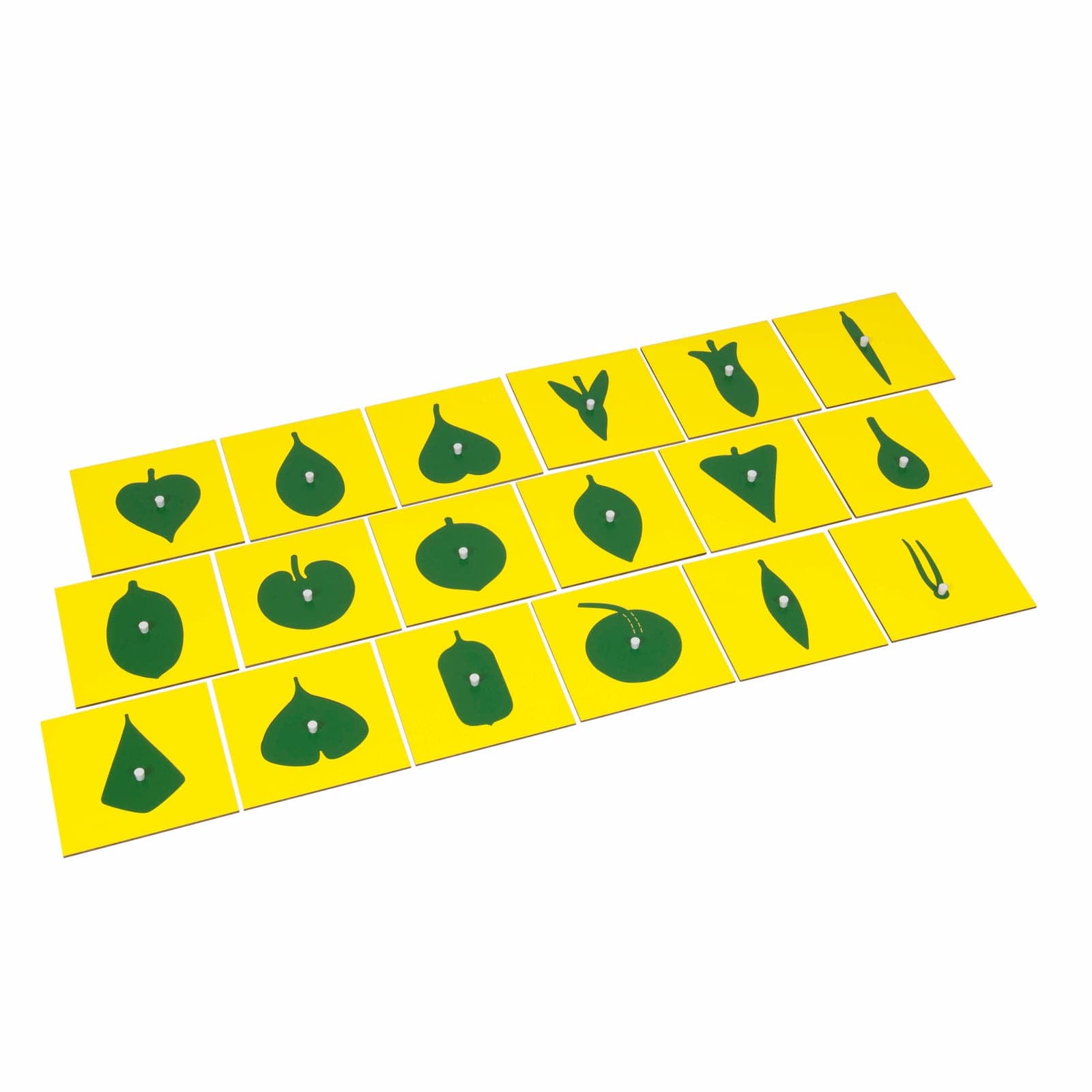 Contents Of The Botany Cabinet — Montessori Material | Faborino