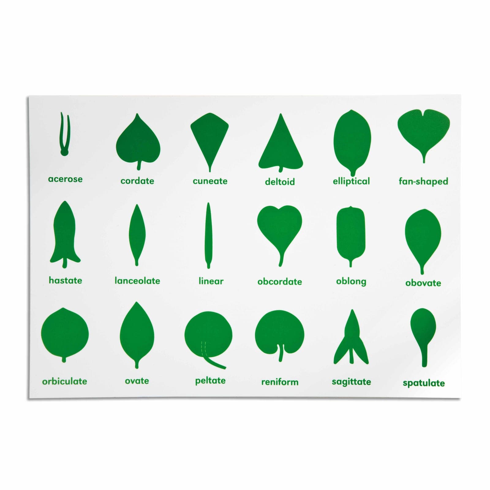 Botany Cabinet Control Chart — View 1