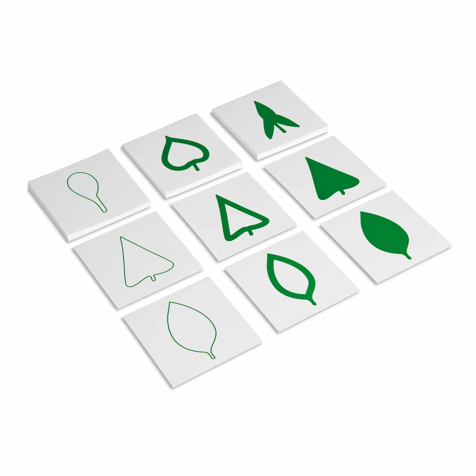 Leaf Cards — Botany Classification — View 1