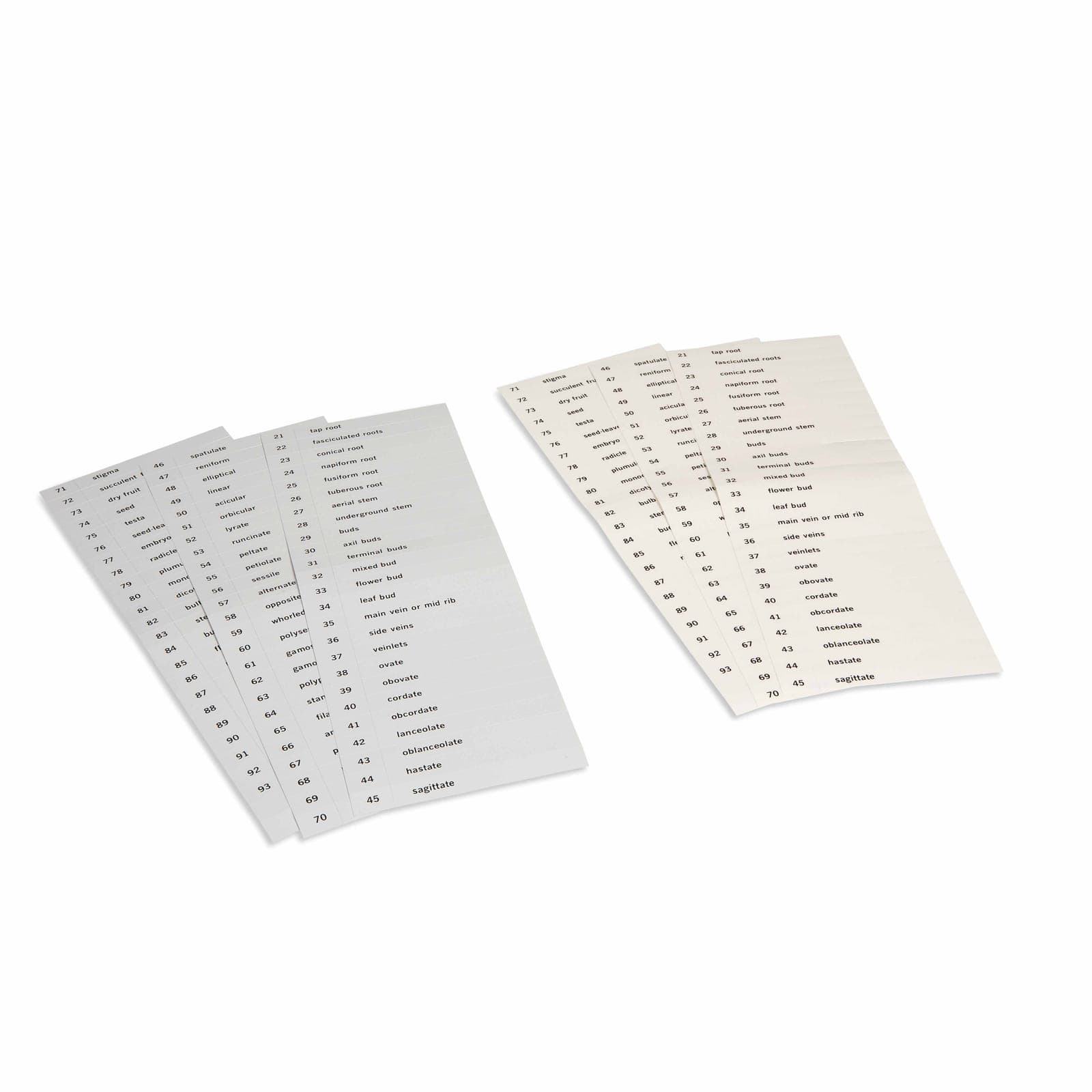 Name Cards: Second Set Of Botany Cards — View 1
