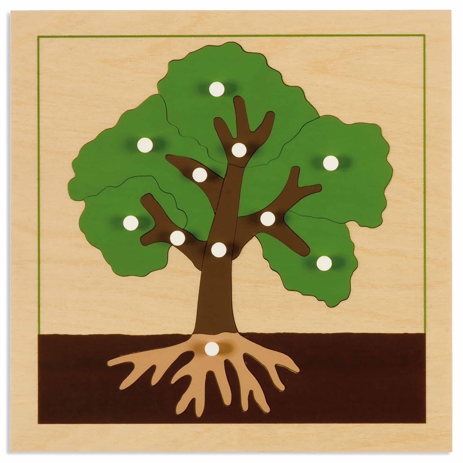Botany Puzzle: Tree — View 1