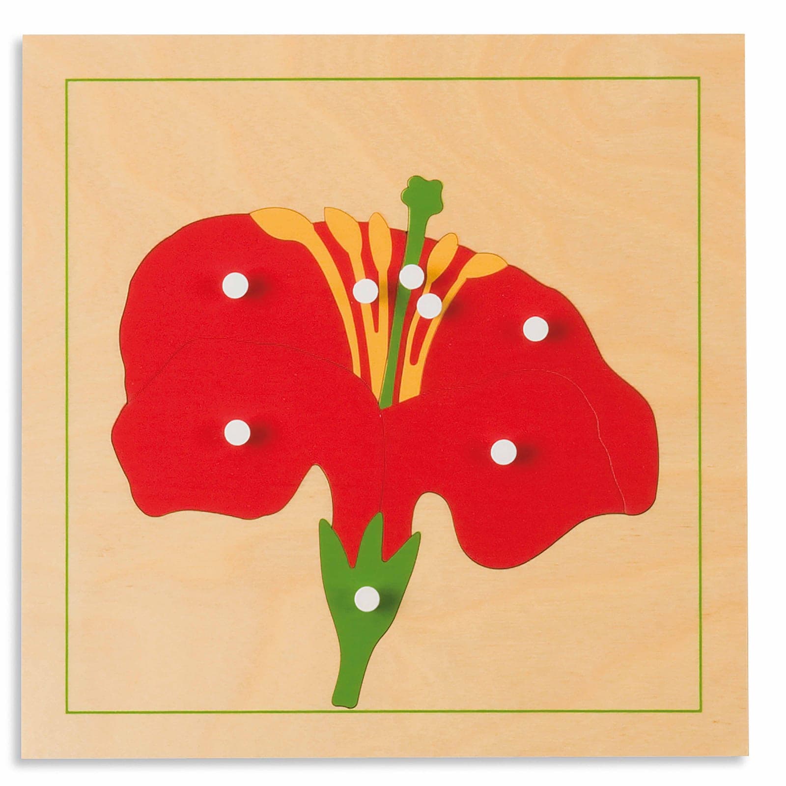 Botany Puzzle: Flower — View 1