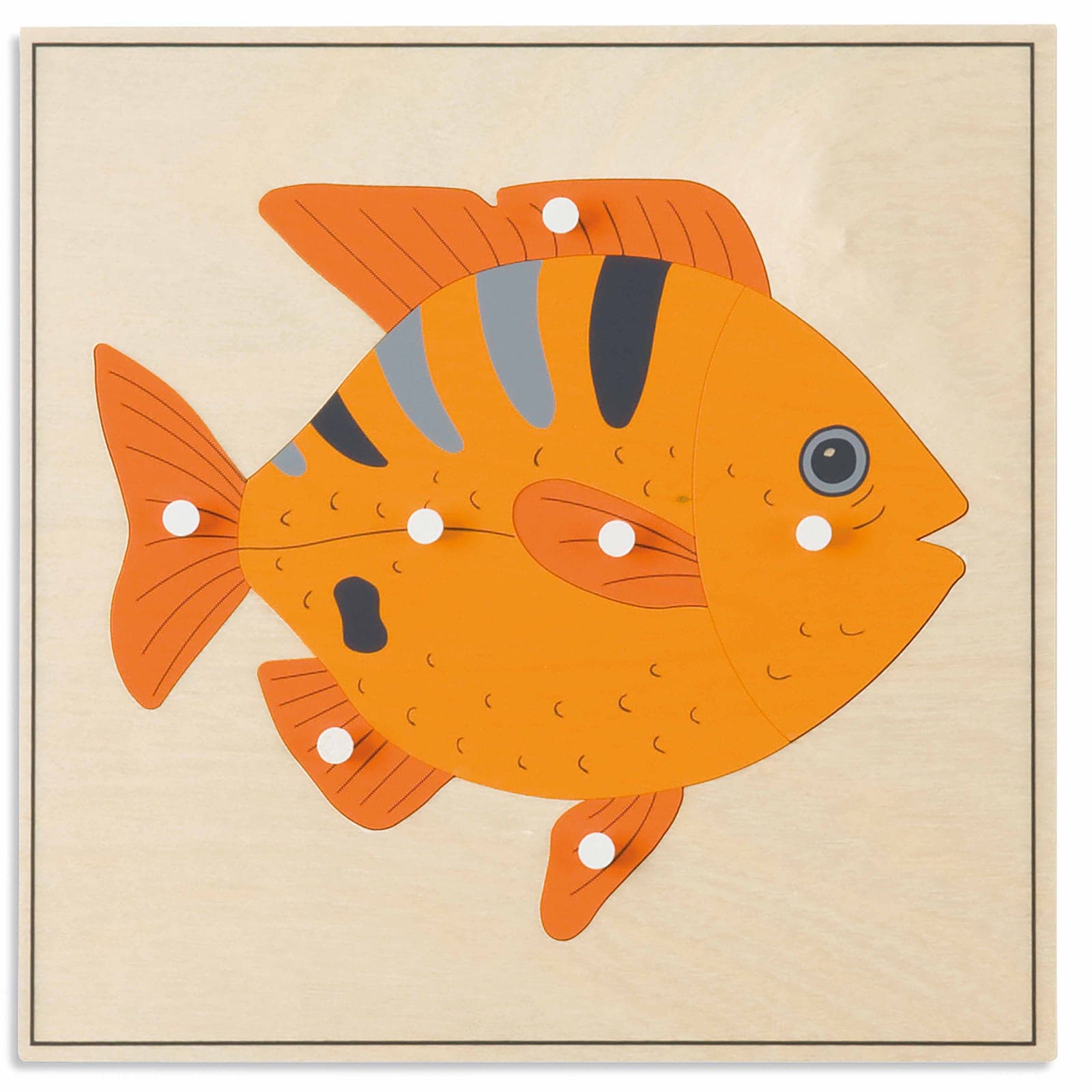 Animal Puzzle: Fish — View 1