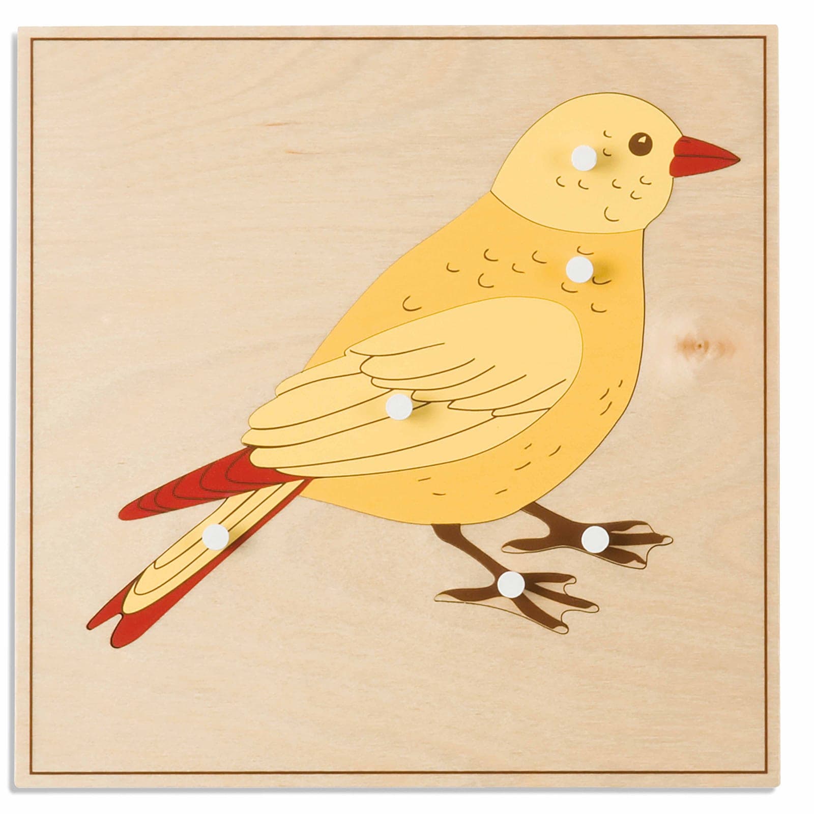 Animal Puzzle: Bird — View 1