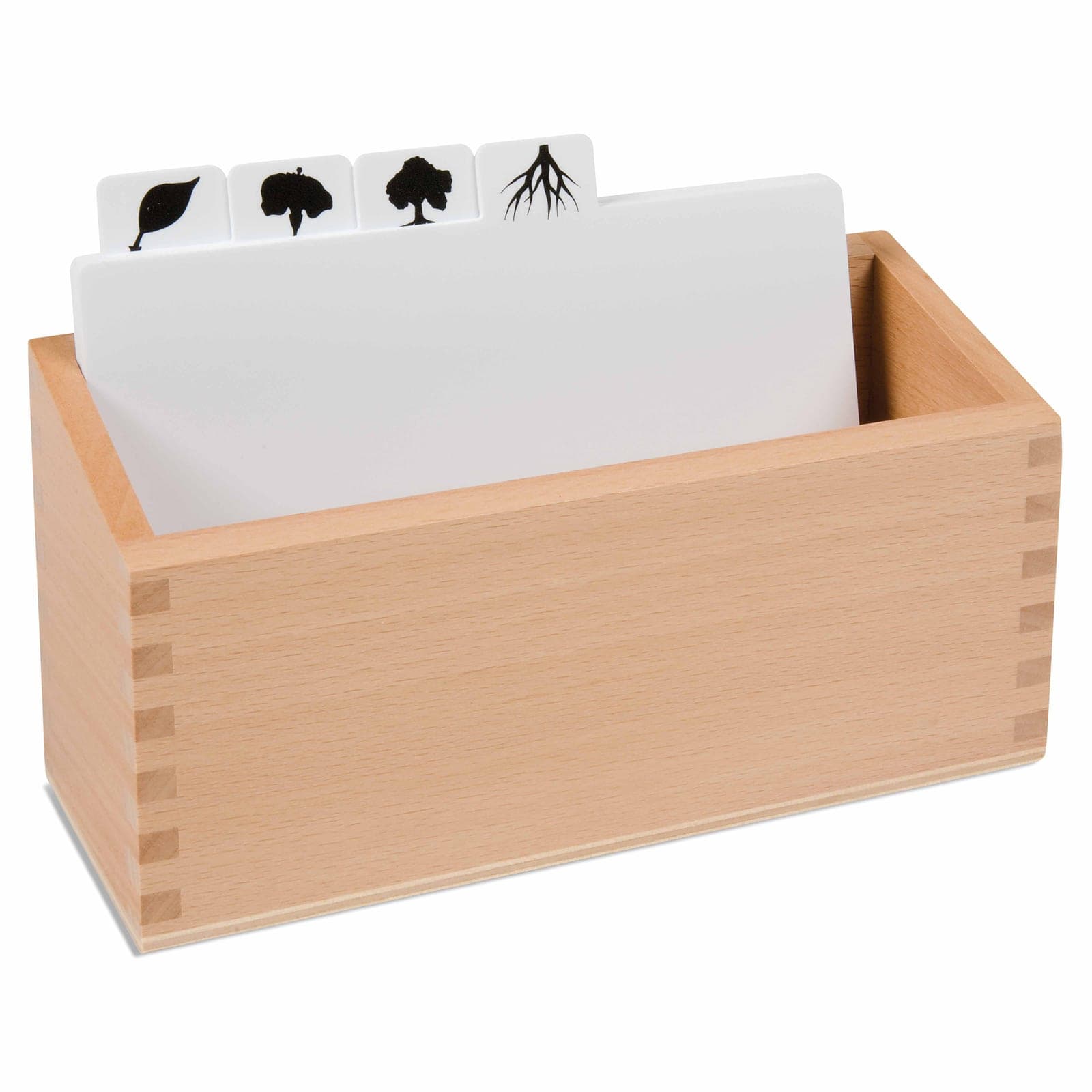 Botany Puzzle Copy Masters Box — Templates for Cabinet Extensions — View 1
