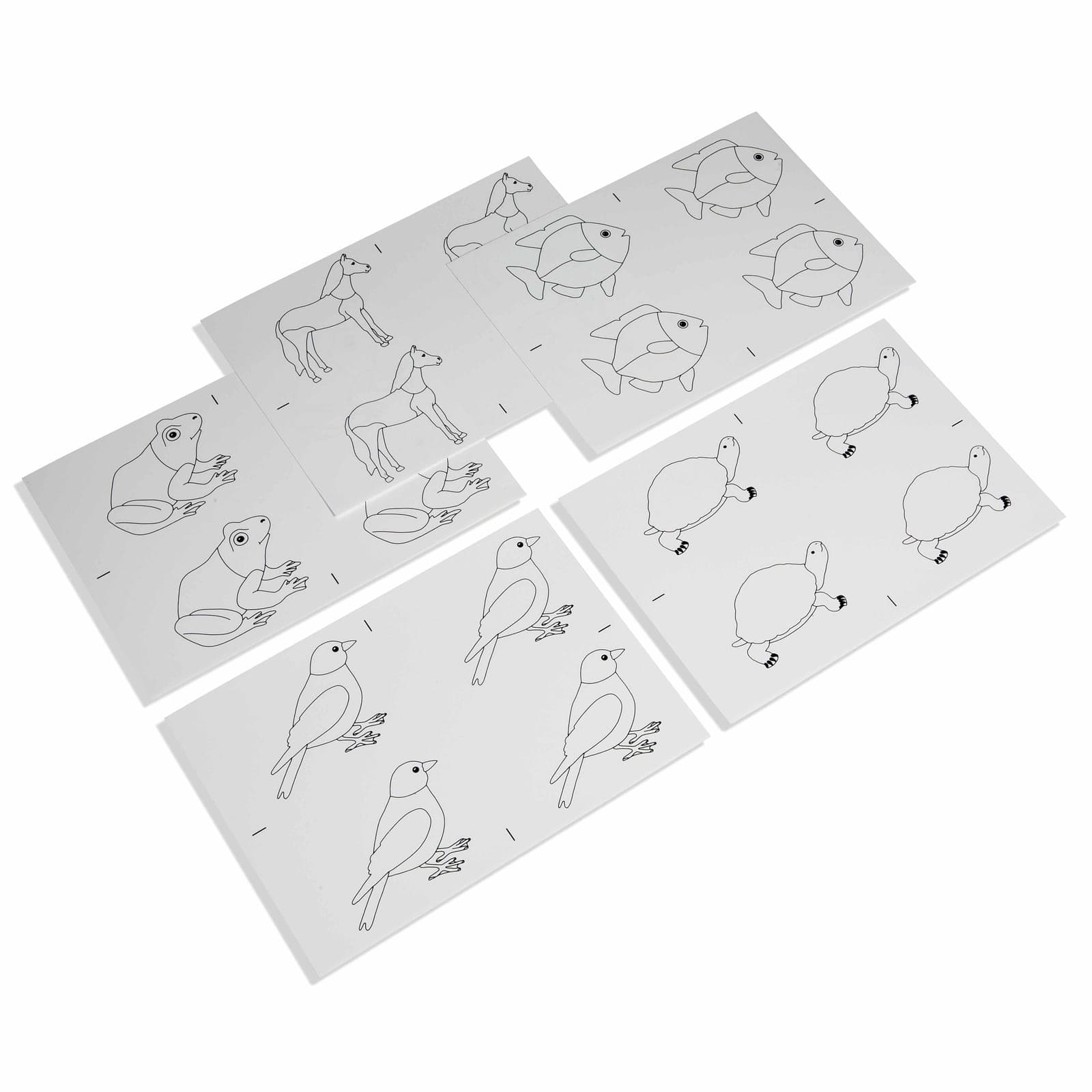 Animal Puzzle: Copy Masters — View 1