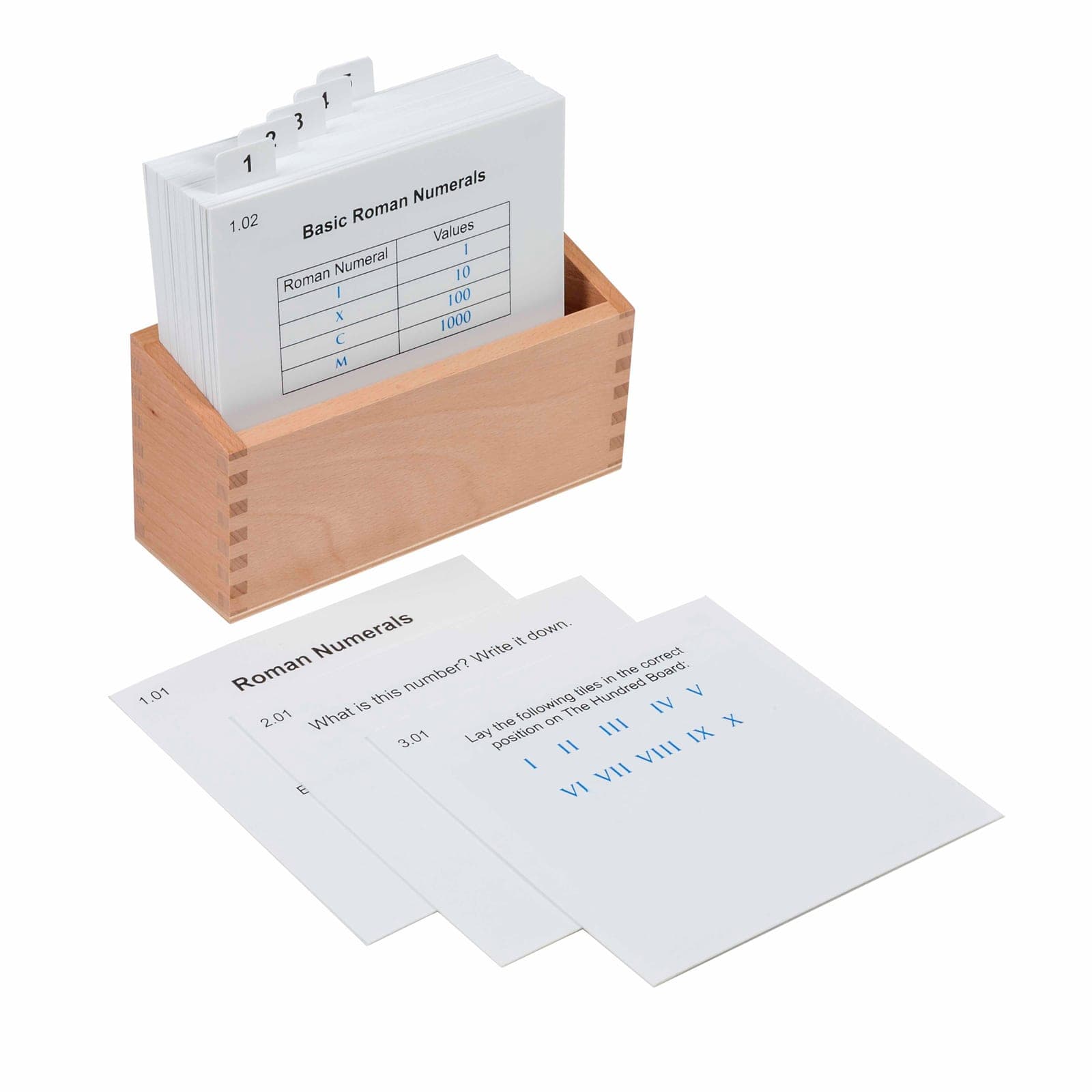 Hundred Board With Roman Numerals Activity Set — View 1