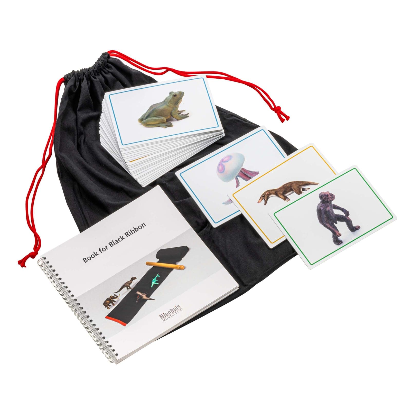 Animals And Book For The Black Ribbon — View 1