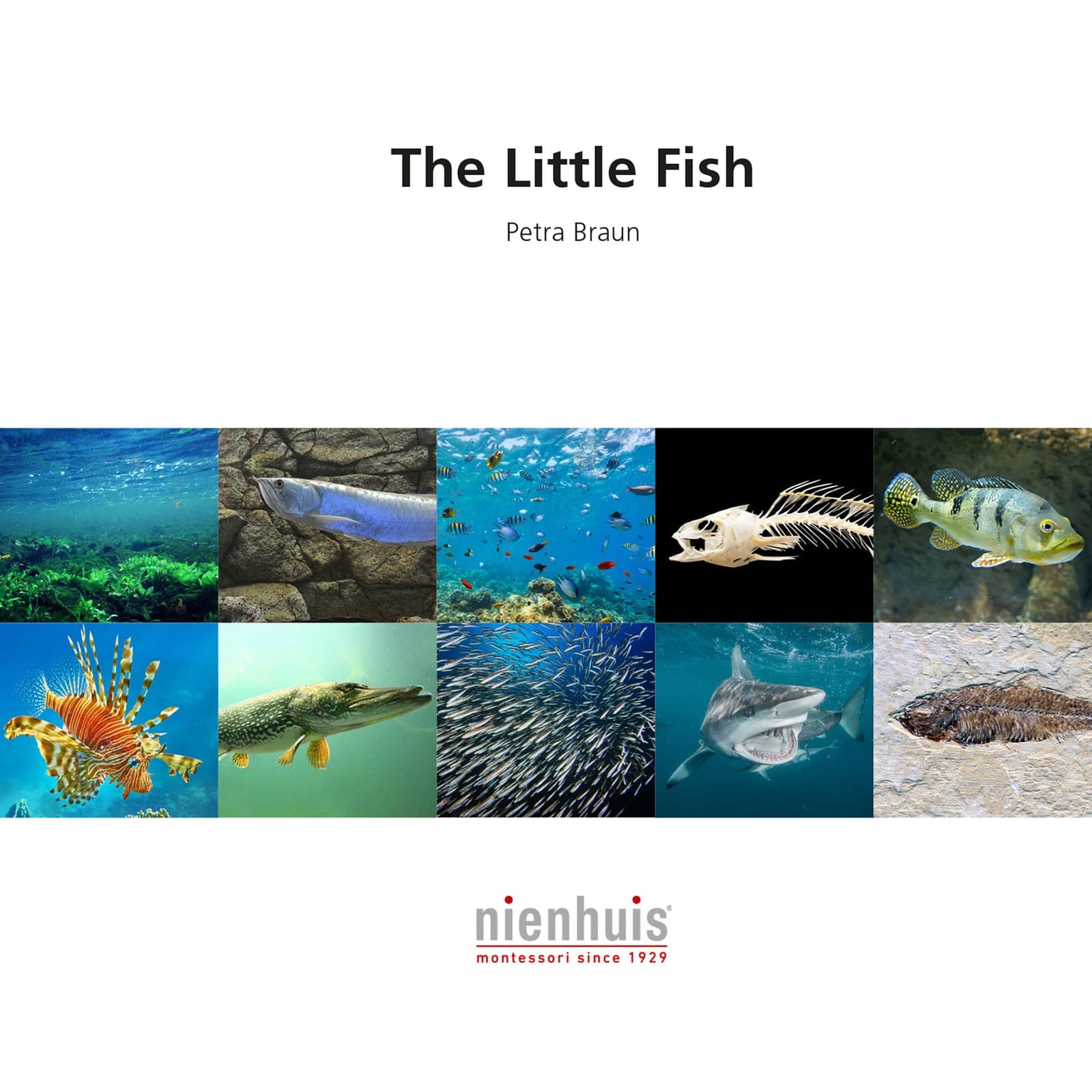 Book: The Little Fish — View 1